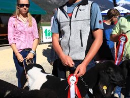 2019_ausstellung polling_611